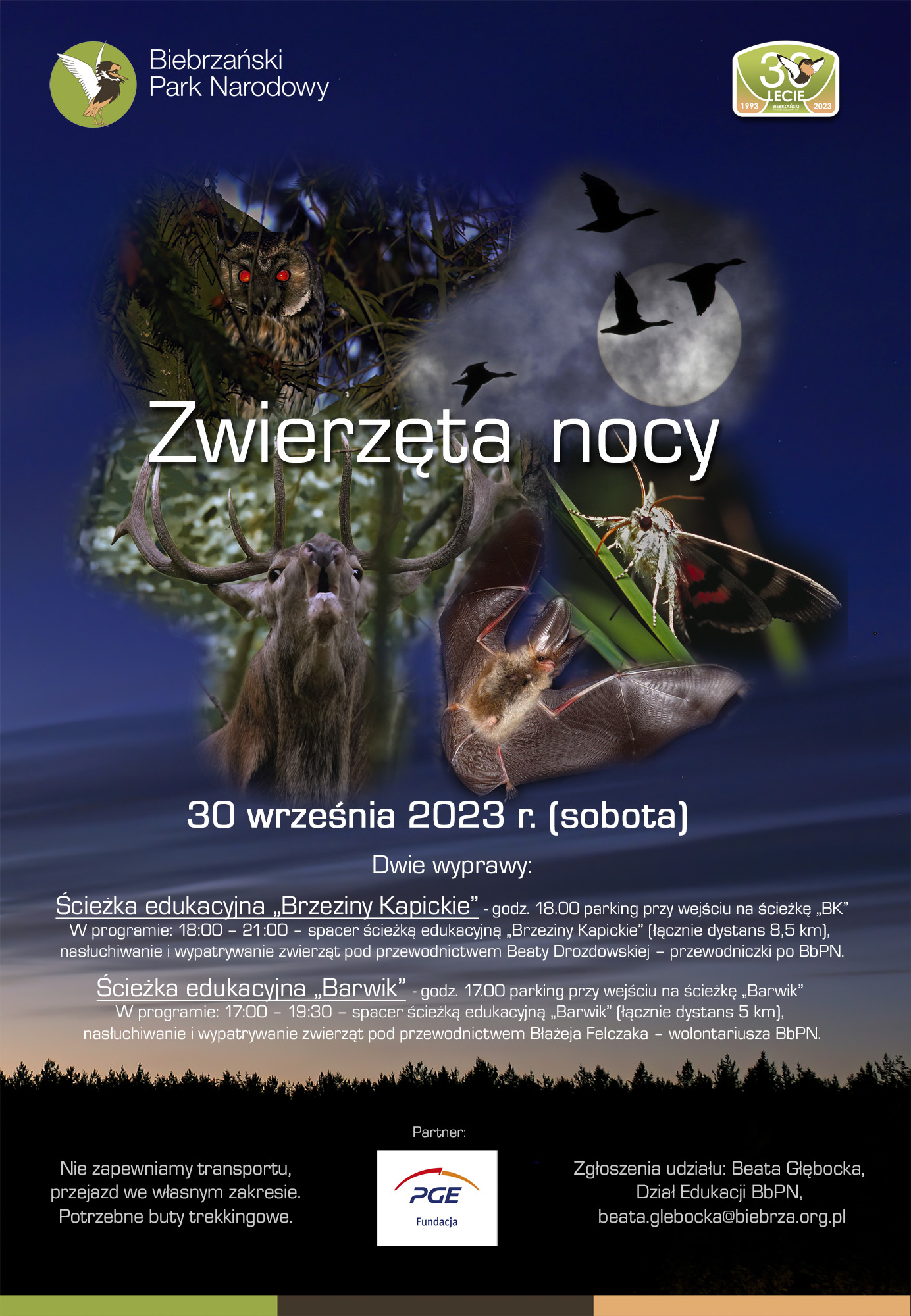 Plakat Zwierzęta Nocy 