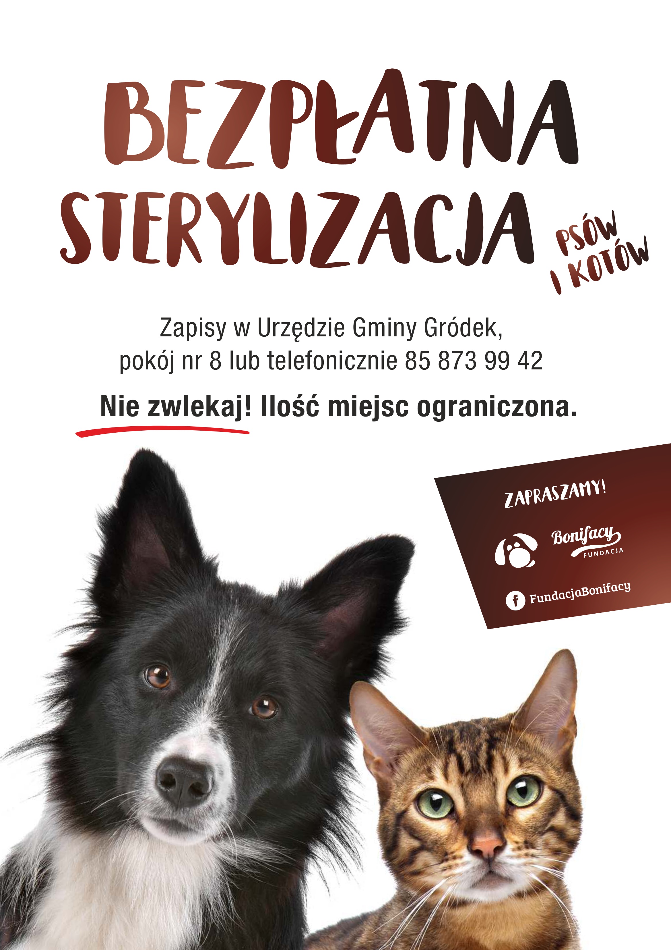 sterylizacja Gródek