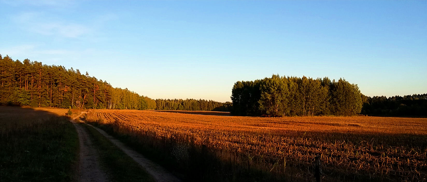 Wiosna Gmina Gródek