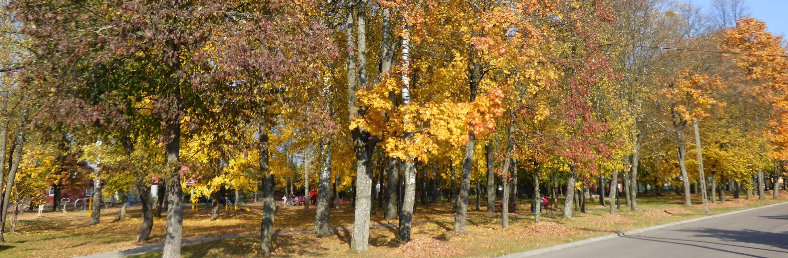 Wiosna Gmina Gródek