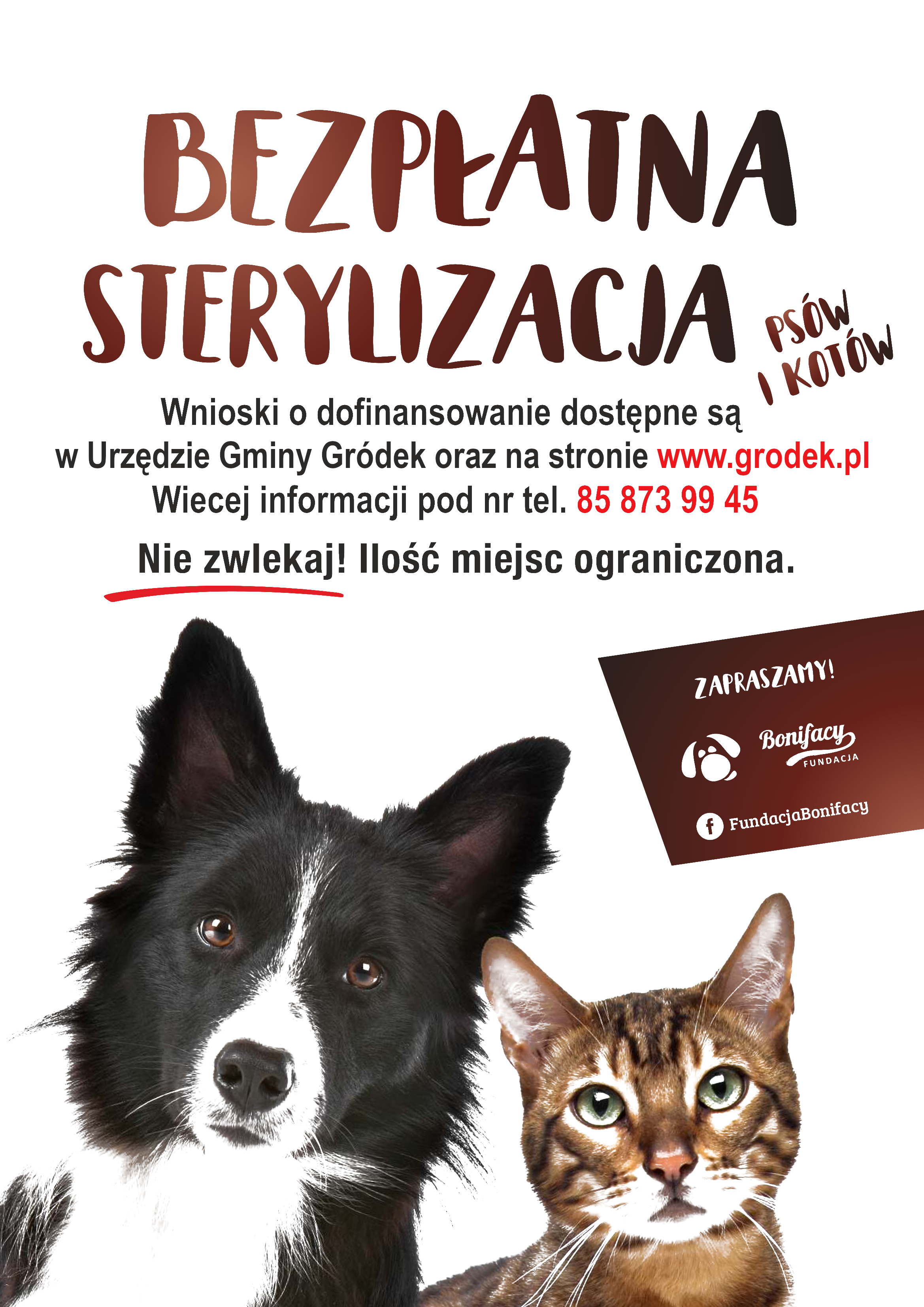 sterylizacja Gródek