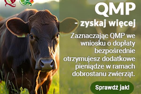 Informacja o systemie QMP