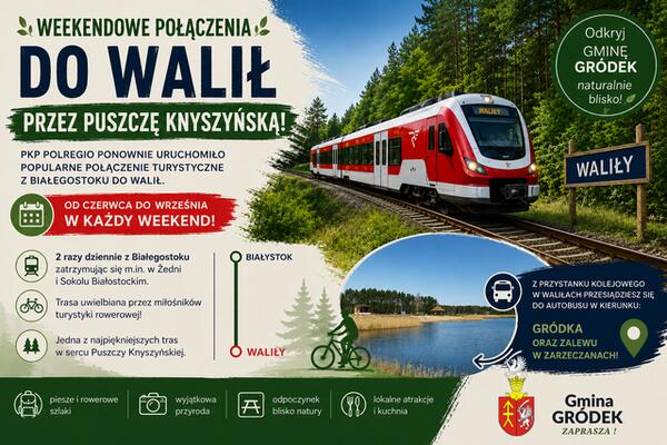 🚆🌲 Wracają weekendowe połączenia kolejowe do Walił! 🌲🚴